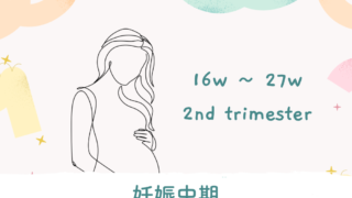 【妊婦検診】妊娠5ヶ月、3回目