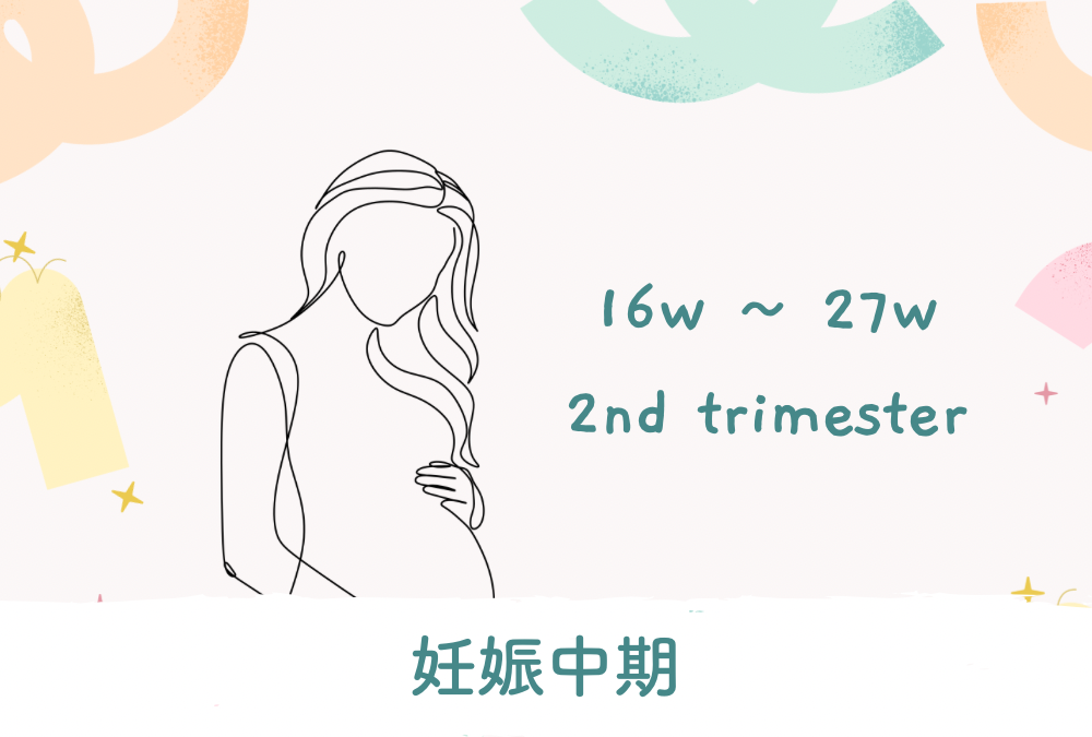 【妊婦検診】妊娠5ヶ月、3回目