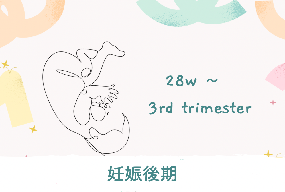 【妊婦健診】妊娠9ヶ月、10回目